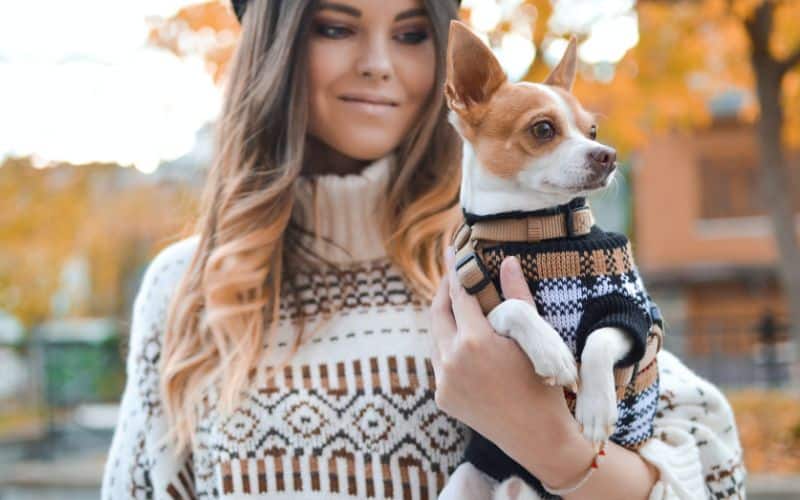 Moça segurando o seu cachorro no colo
